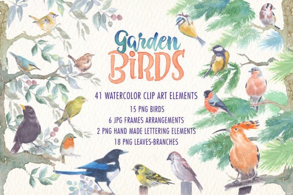 Bringing Nature to Life with Garden Birds Watercolor Clipart