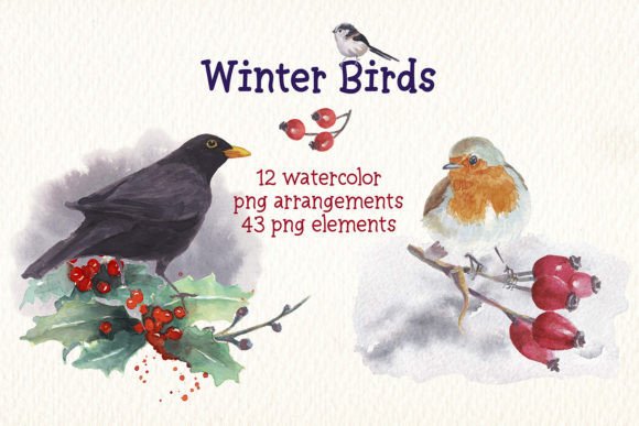 Bringing the Chill to Life with Winter Birds Watercolor Clipart