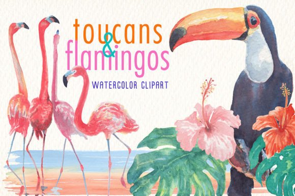 Bringing the Tropics to Life: The Enduring Appeal of Toucans and Flamingos Watercolor Clipart
