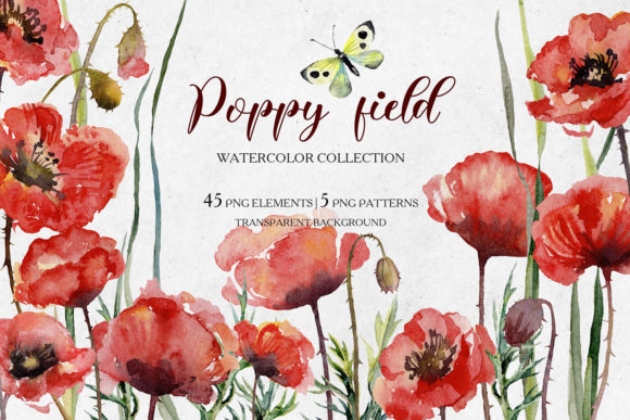 Evaluating the Watercolor Collection of Red Poppi for Design Projects