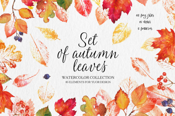 Fall Leaves Watercolor Vector: Autumn Design Essentials