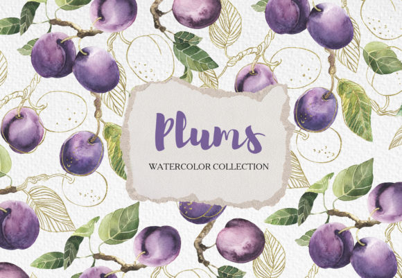 Summer Watercolor Collection Plums: Design Guide