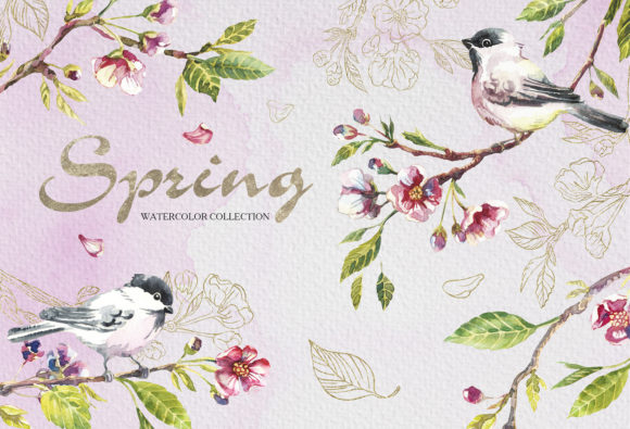 Watercolor Clipart Sakura and Birds for Design